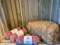Hackfleisch vom hofeigenen schottischen Hochlandrind
